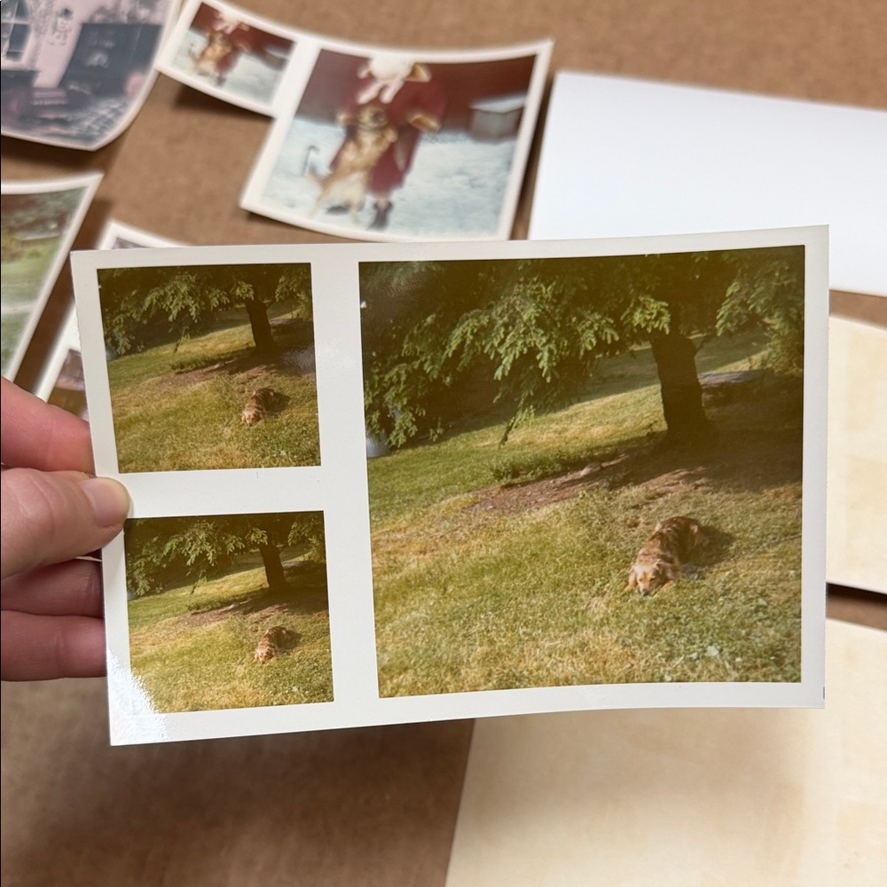 Vintage Photo Collection - Picture 5 of 11